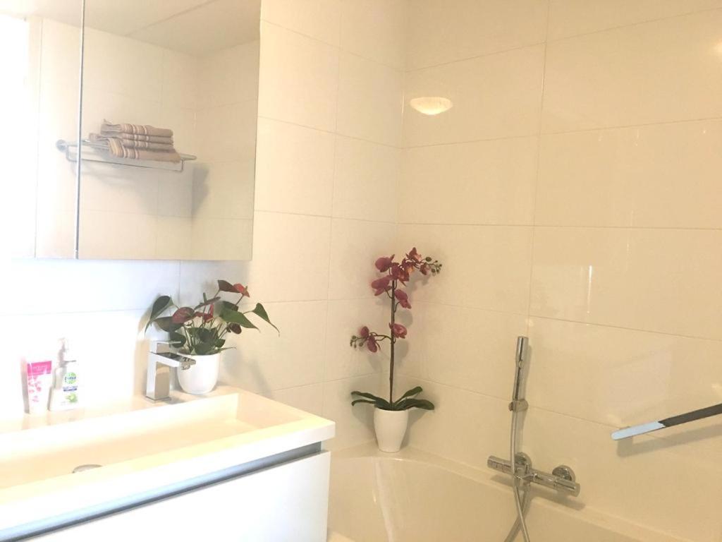Home Inn Zandvoort The First Floor, 4 Persons, 2 Bedrooms, Free Parking Eksteriør billede